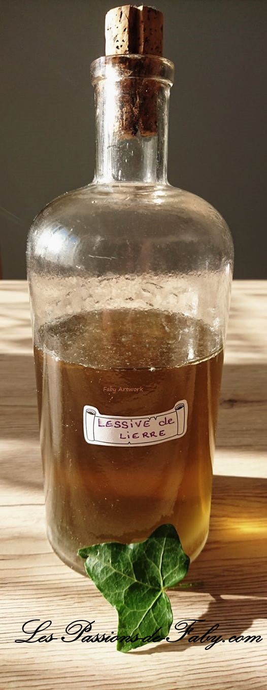 Lessive de Lierre☘