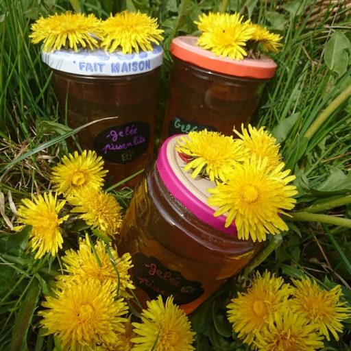 Gelée de Pissenlit&nbsp;🌻