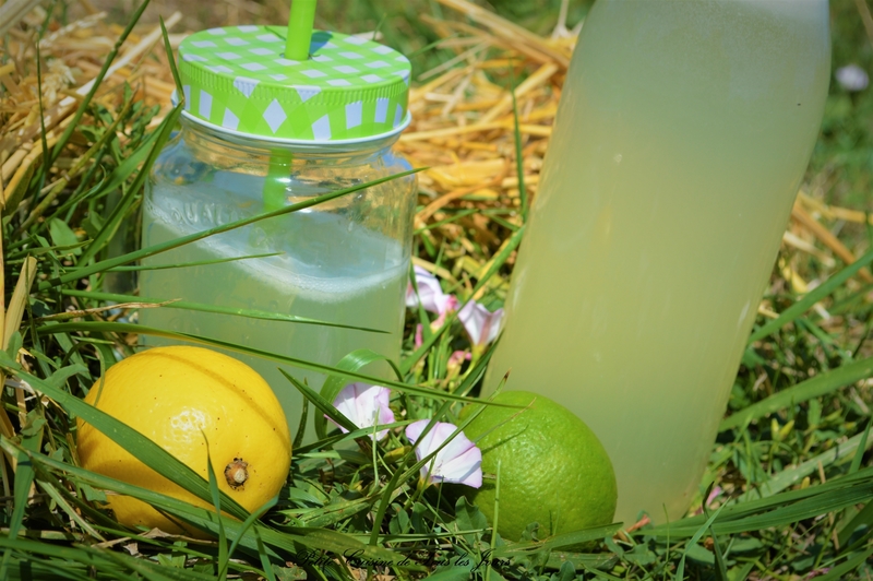 Citronnade Maison 🍋