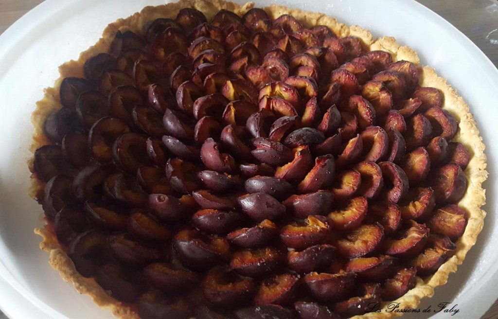 Tarte aux Quetsches