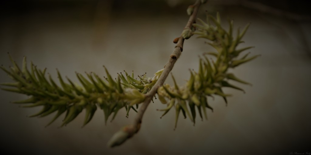 Balade au Bord de&nbsp;l&rsquo;Etang