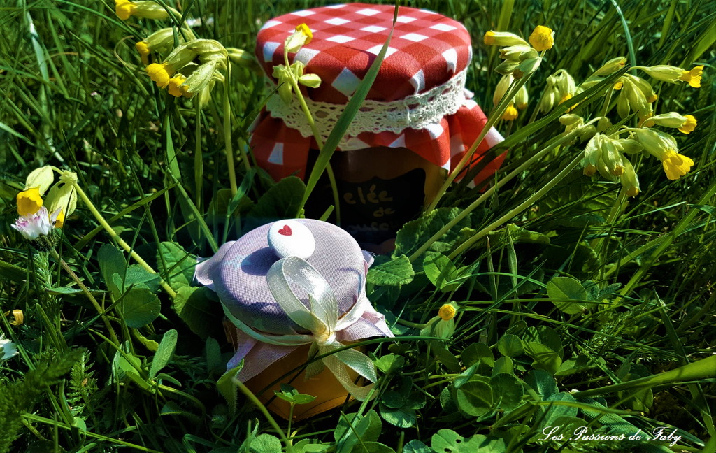 Gelée de Coucous
les-passions-de-faby.com