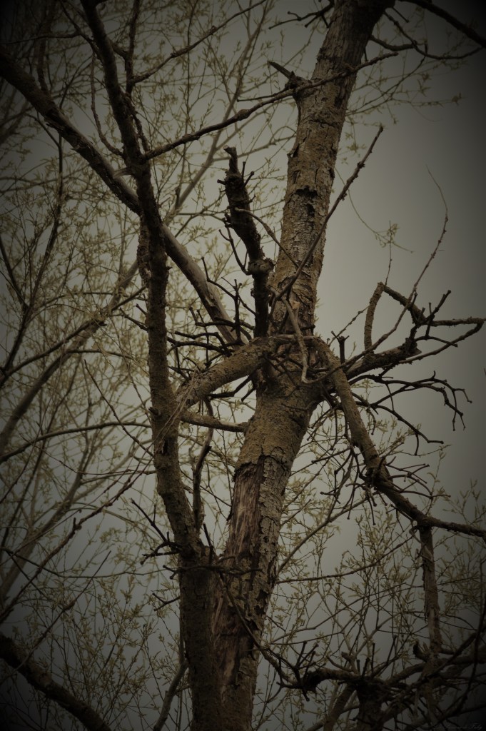 Quand se cachent les aliens 👽
les-passions-de-faby.com