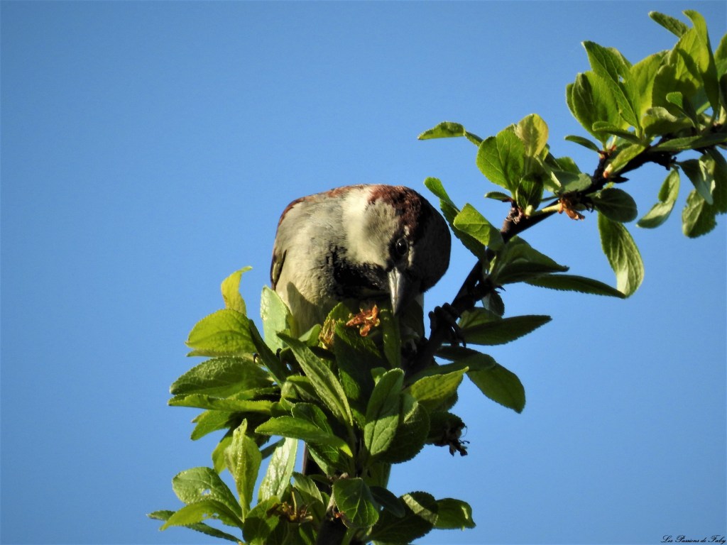 Qu'est-ce-qui se passe en bas?
les-passions-de-faby.com