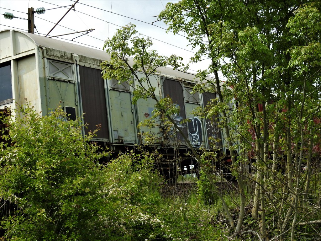 Abandoned World - Wagons
les-passions-de-faby.com