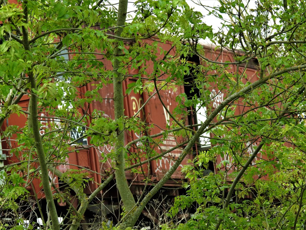 Abandoned World - Wagons
les-passions-de-faby.com