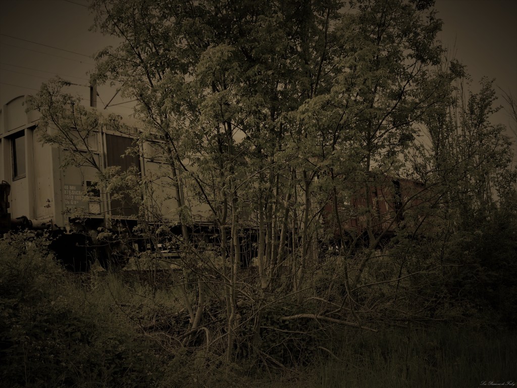 Abandoned World - Wagons
les-passions-de-faby.com