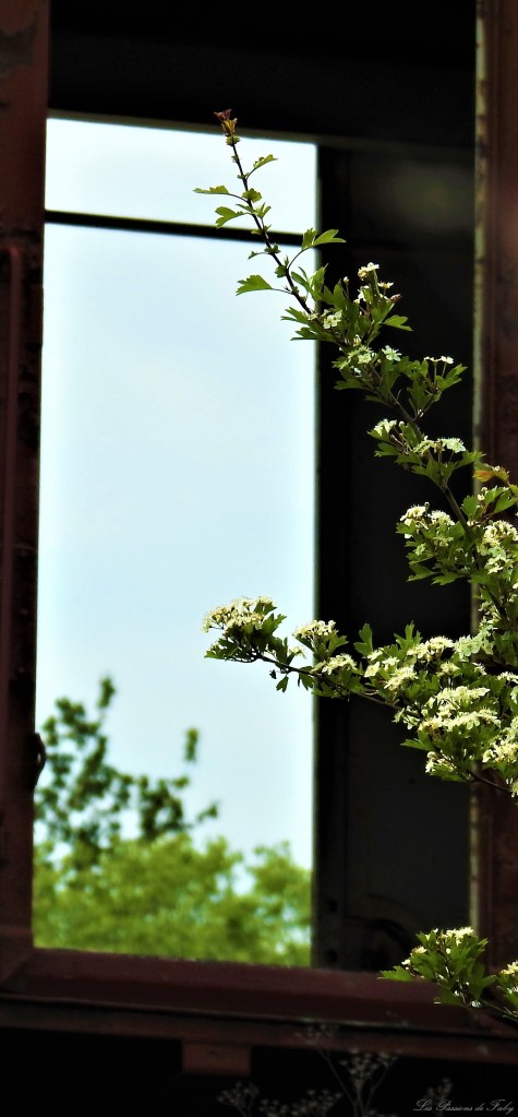 Abandoned World - Wagons
les-passions-de-faby.com