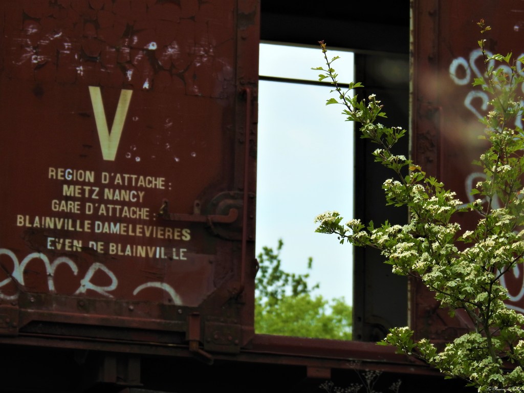 Abandoned World - Wagons
les-passions-de-faby.com