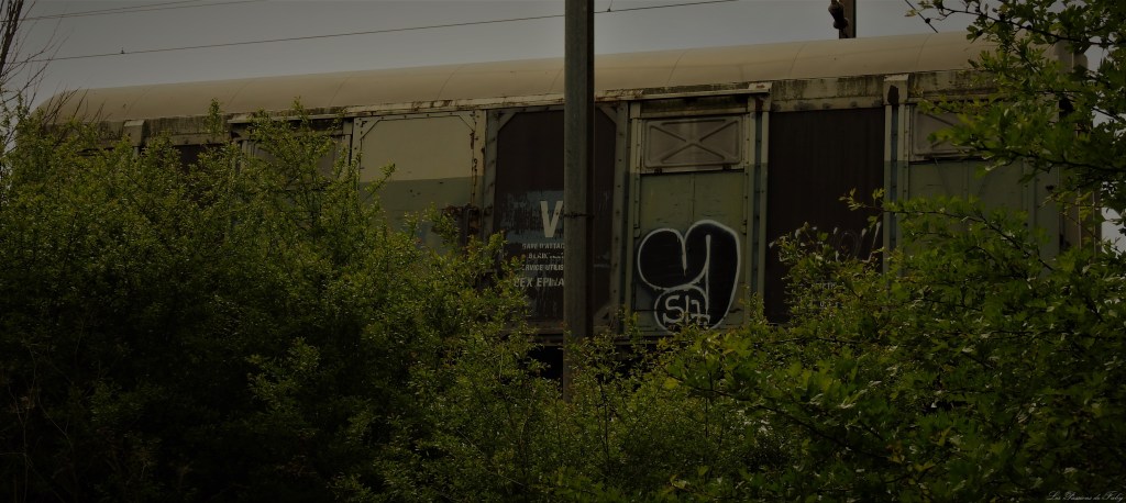 Abandoned World - Wagons
les-passions-de-faby.com