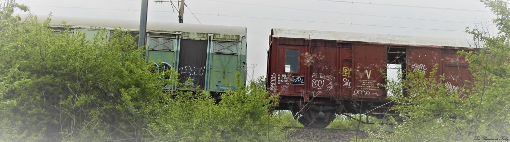Abandoned World - Wagons
les-passions-de-faby.com