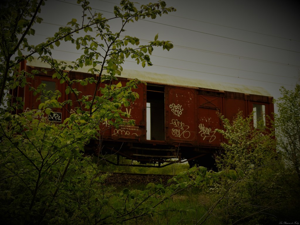 Abandoned World - Wagons
les-passions-de-faby.com