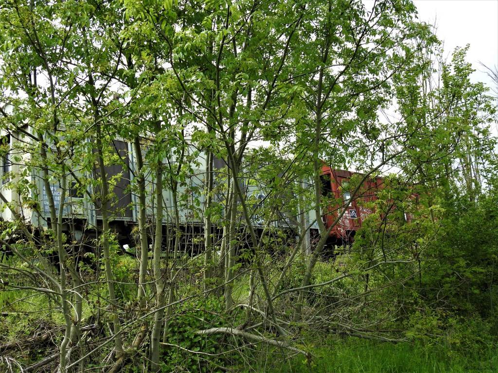 Abandoned World – Wagons&nbsp;–