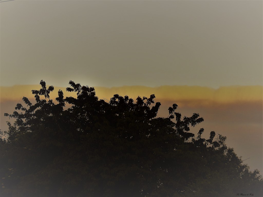 Nuage de Souffre
les-passions-de-faby.com