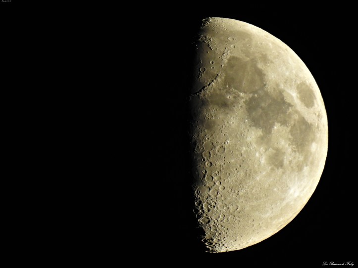 12 mai 2019
les-passions-de-faby.com