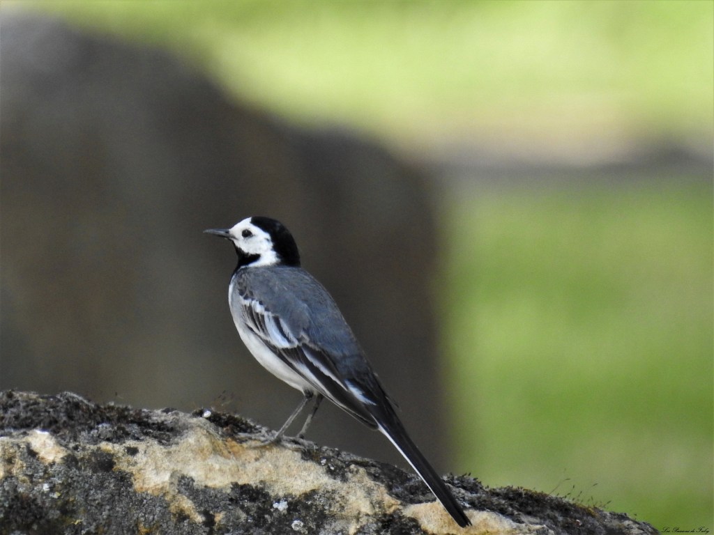 les-passions-de-faby.com