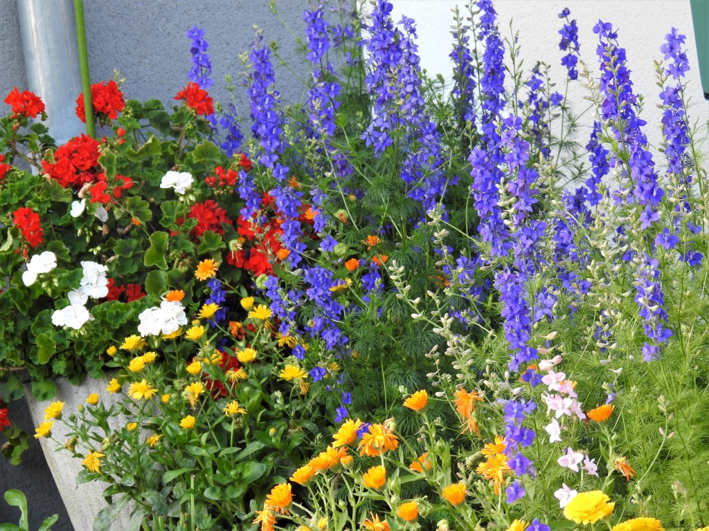 les-passions-de-faby.com