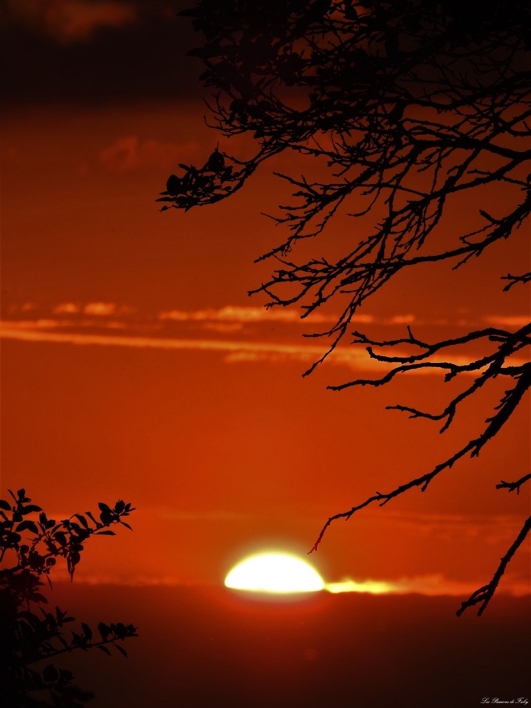 les-passions-de-faby.com