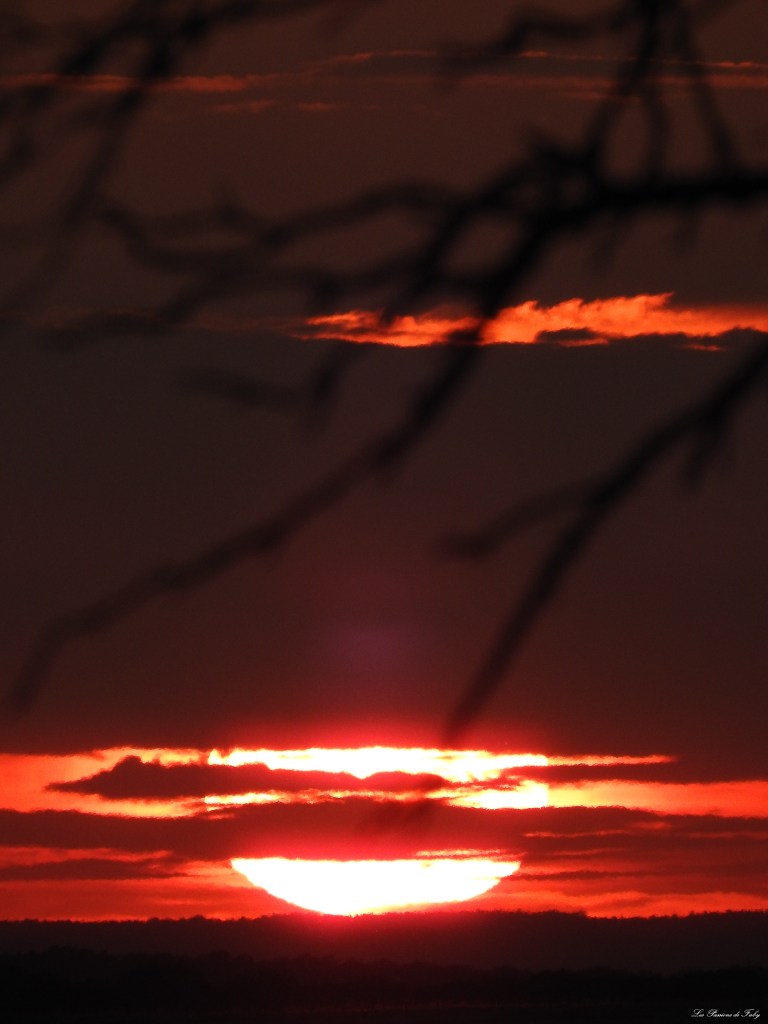 les-passions-de-faby.com