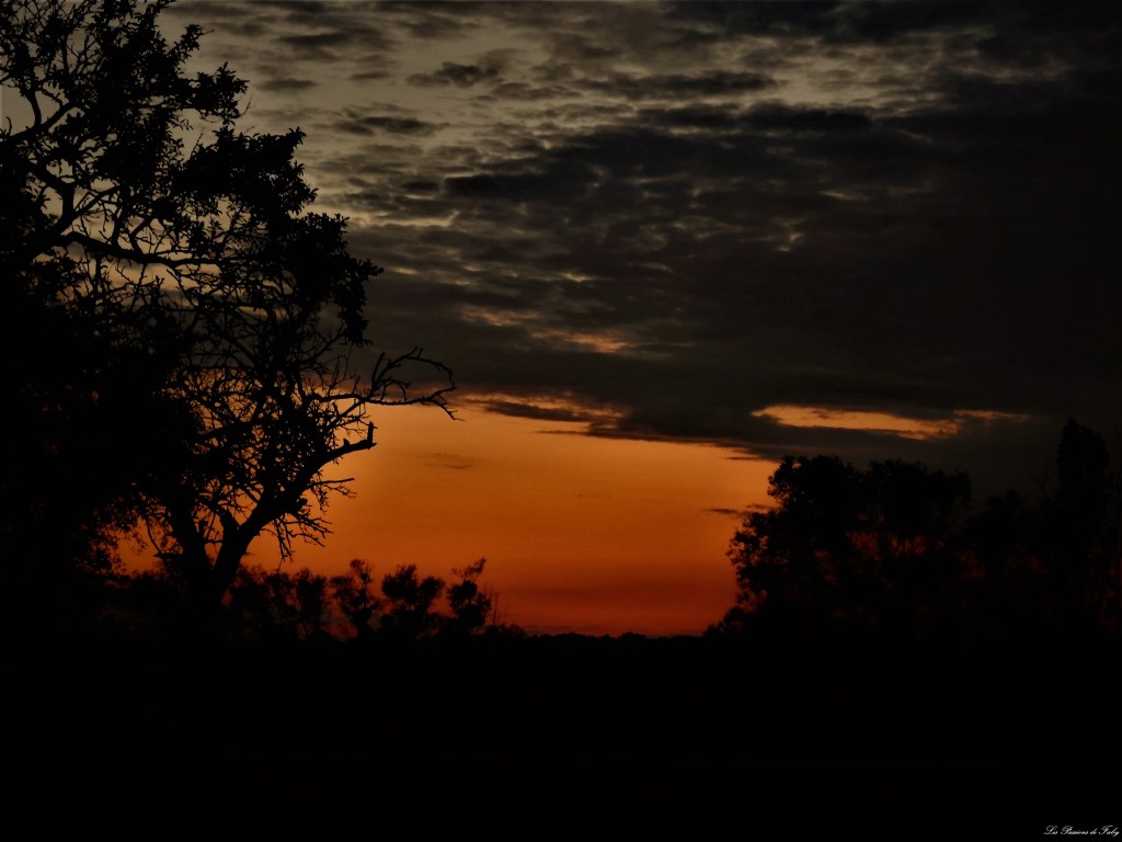 les-passions-de-faby.com