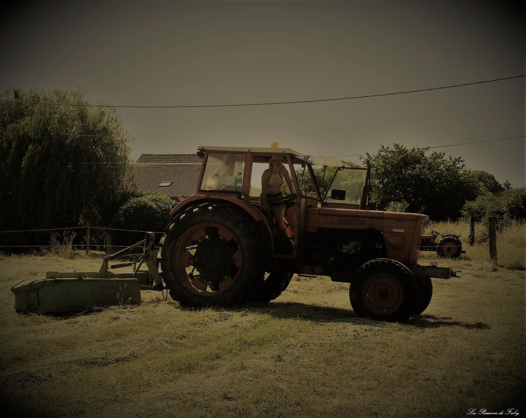 Fenaison d'Antan
les-passions-de-faby.com