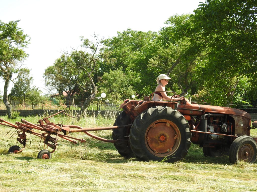 Fenaison d'Antan
les-passions-de-faby.com