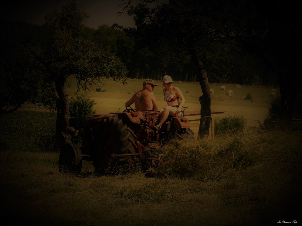 Fenaison d'Antan
les-passions-de-faby.com