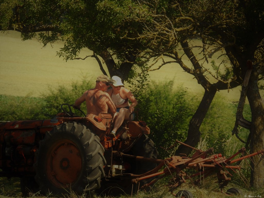 Fenaison d'Antan
les-passions-de-faby.com