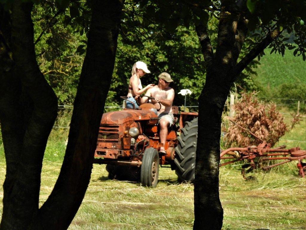 Fenaison d'Antan
les-passions-de-faby.com