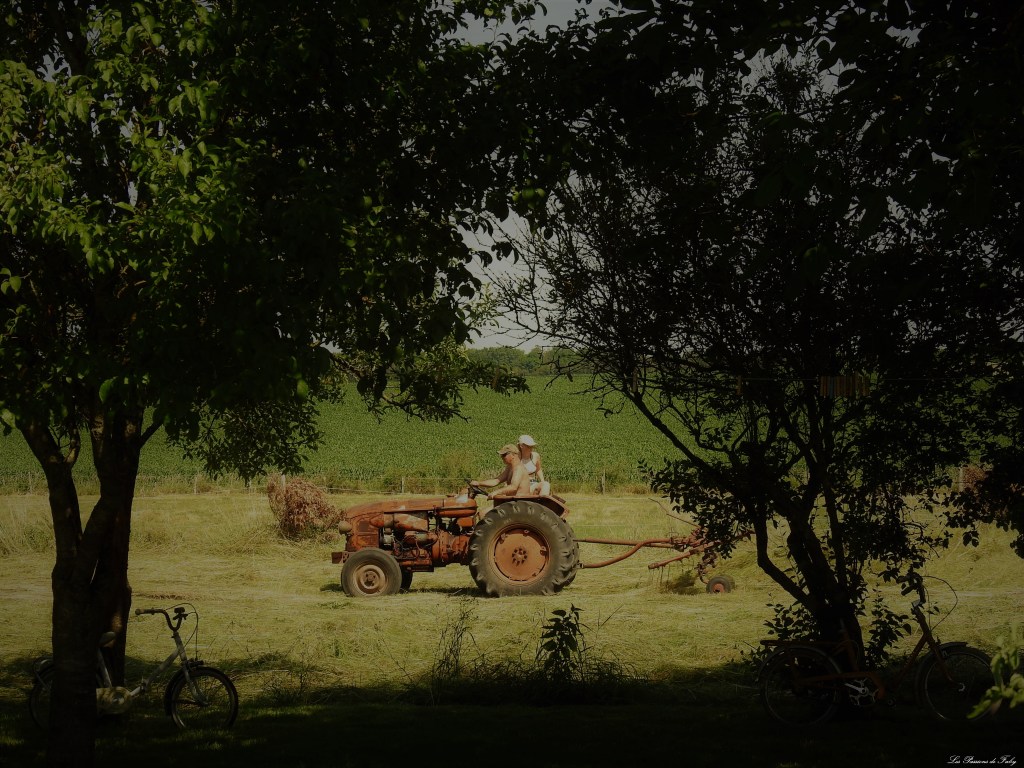 Fenaison d'Antan
les-passions-de-faby.com