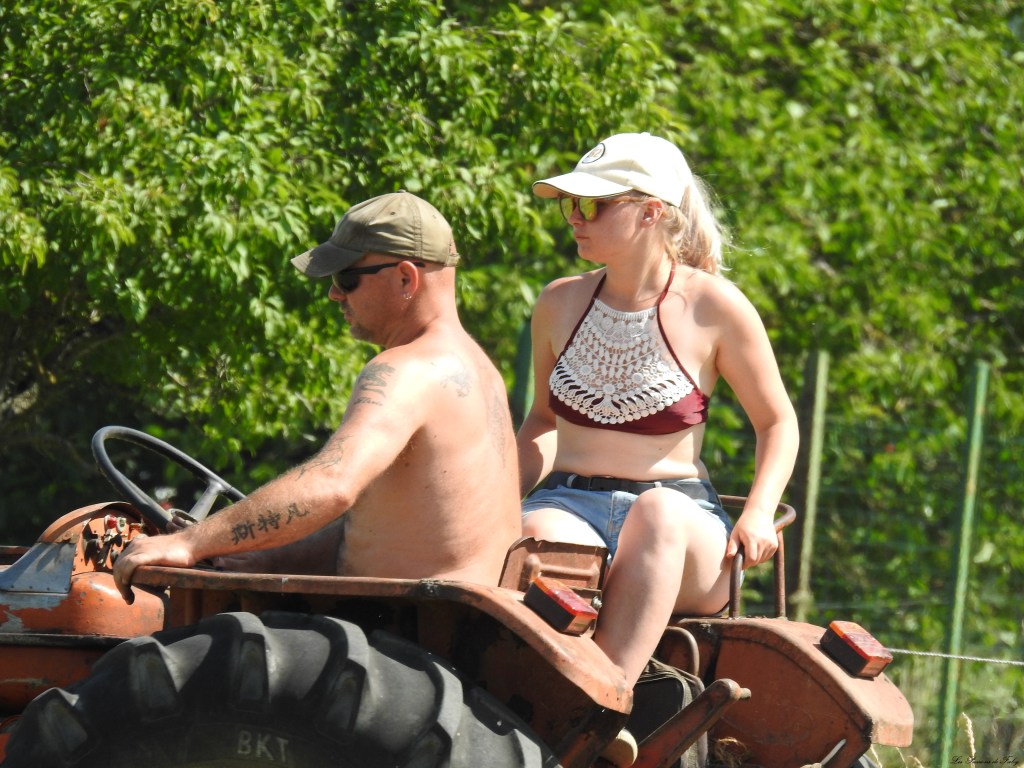 Fenaison d'Antan
les-passions-de-faby.com