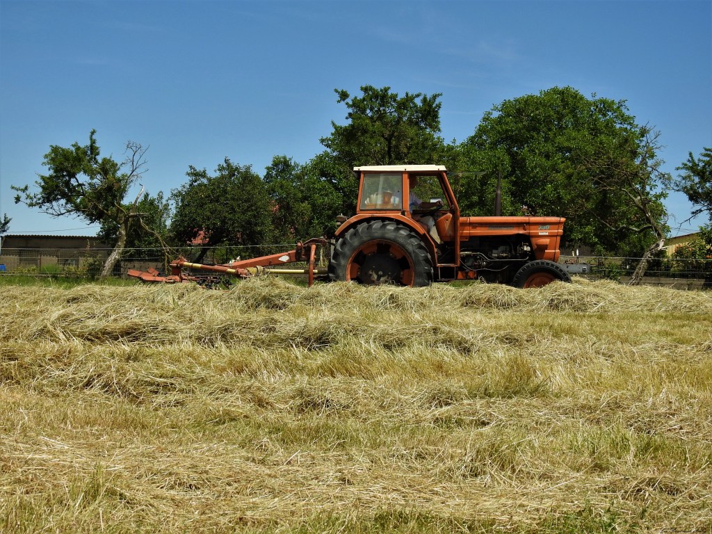 Fenaison d'Antan
 les-passions-de-faby.com