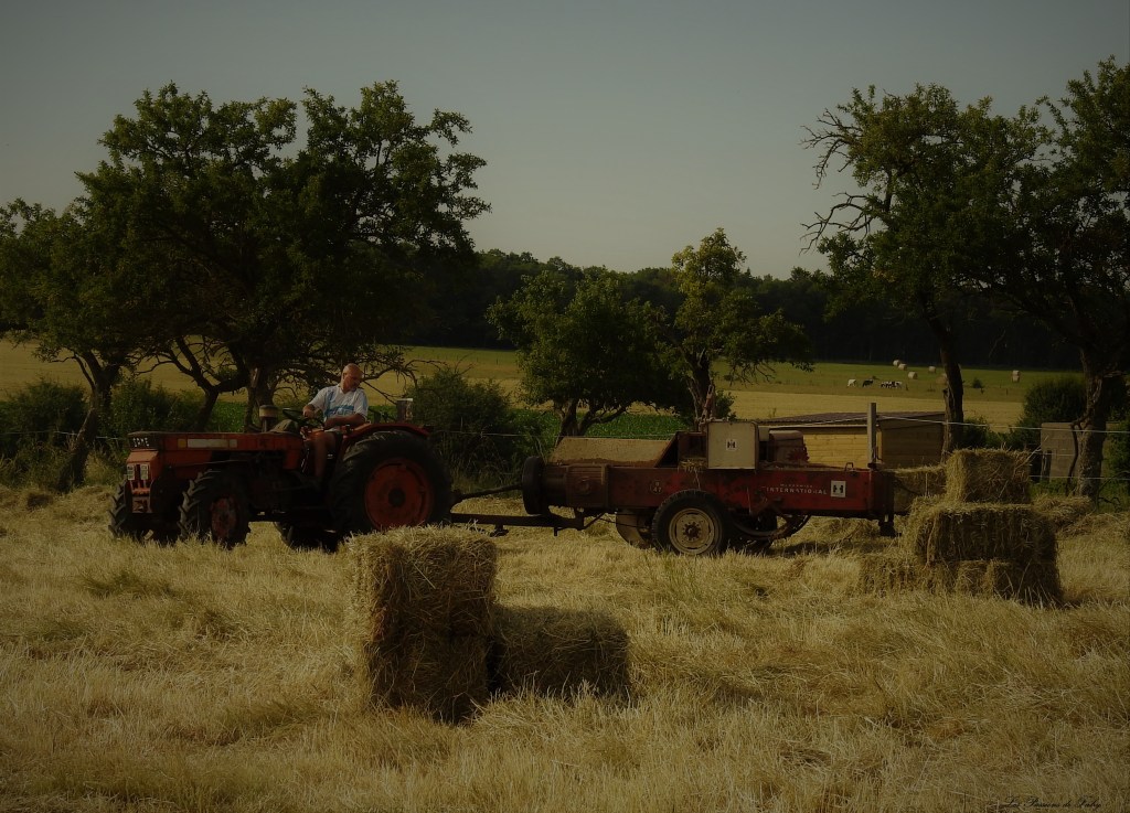 Fenaison d'Antan
 les-passions-de-faby.com