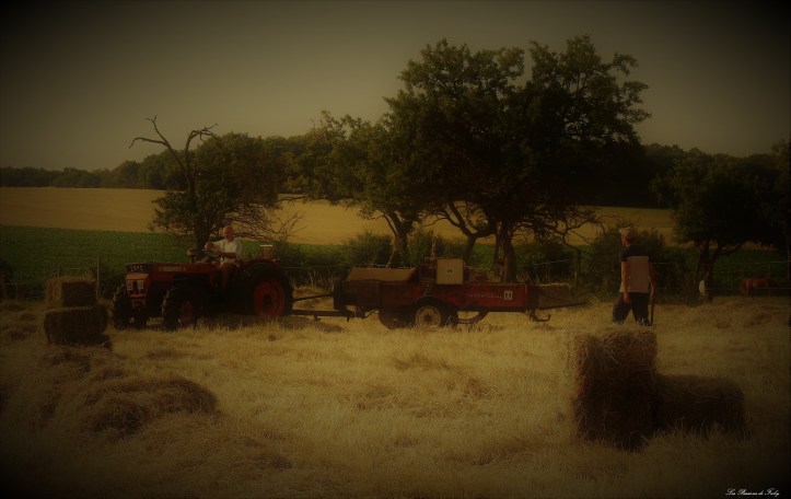 Fenaison d'Antan
 les-passions-de-faby.com