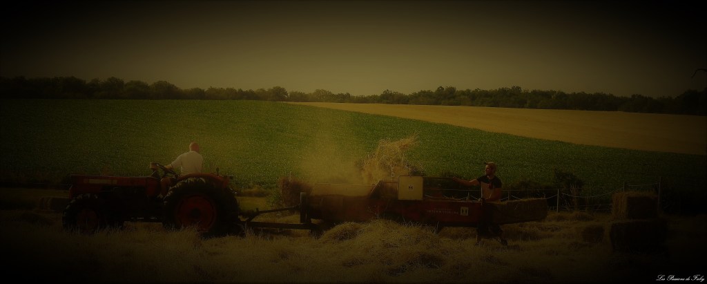 Fenaison d'Antan
 les-passions-de-faby.com