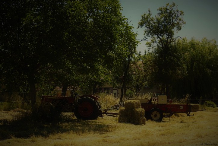 Fenaison d'Antan
 les-passions-de-faby.com