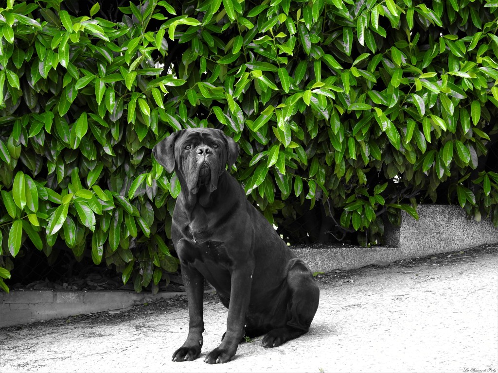 les-passions-de-faby.com