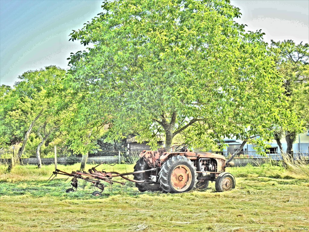 Fenaison d&rsquo;Antan