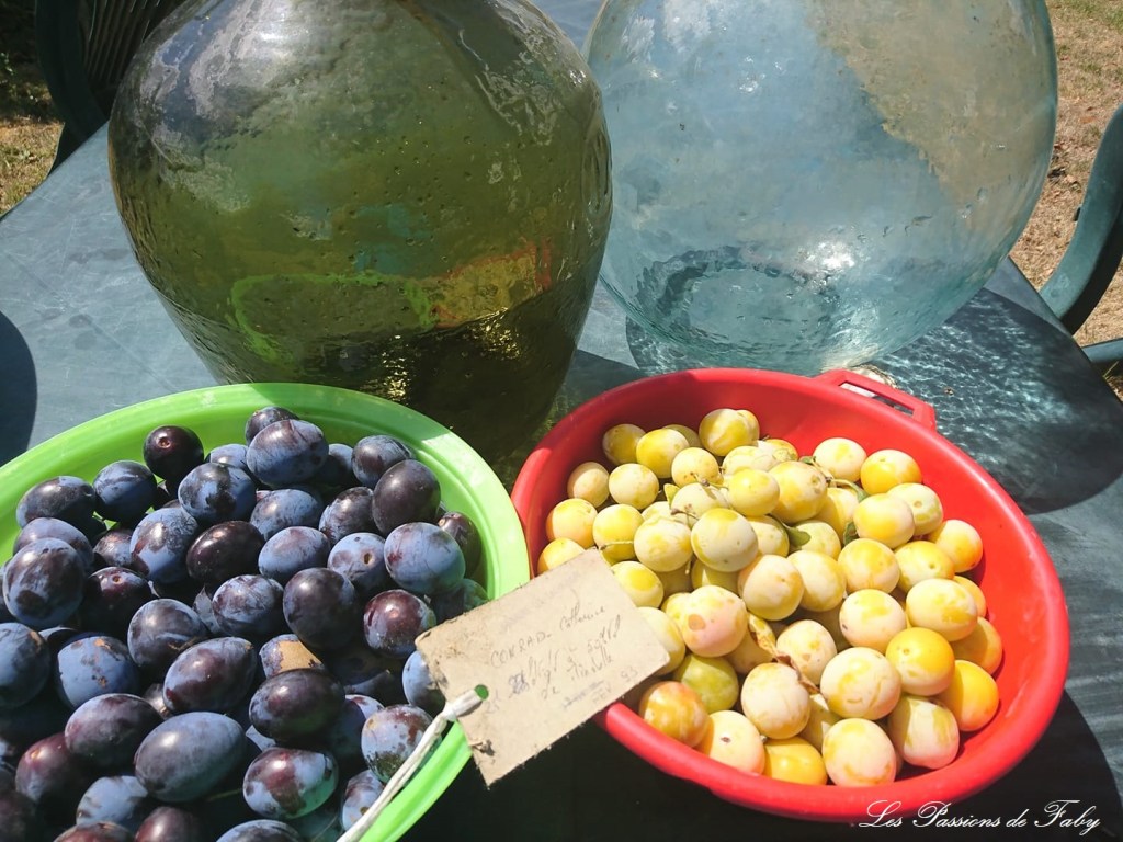 Vin de Quetsches
les-passions-de-faby.com