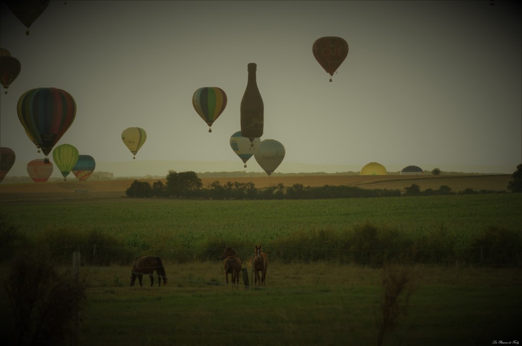 Mondial Air Ballons 
 29/07/2019
 les-passions-de-faby.com