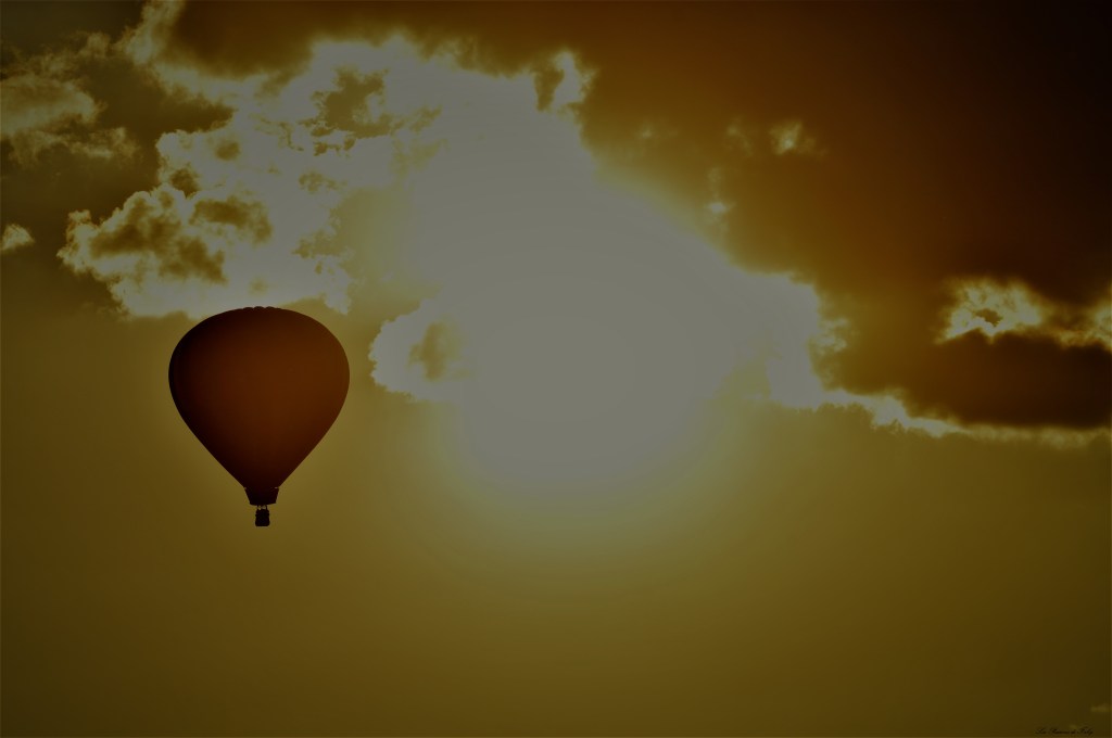 Mondial Air Ballons 
 29/07/2019
 les-passions-de-faby.com