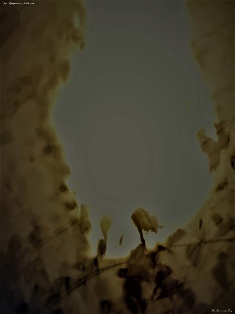 Lune Mystique du 08/07/19
les-passions-de-faby.com