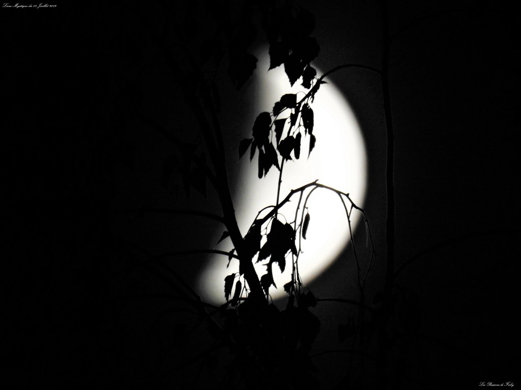 Lune Mystique du 08/07/19
les-passions-de-faby.com