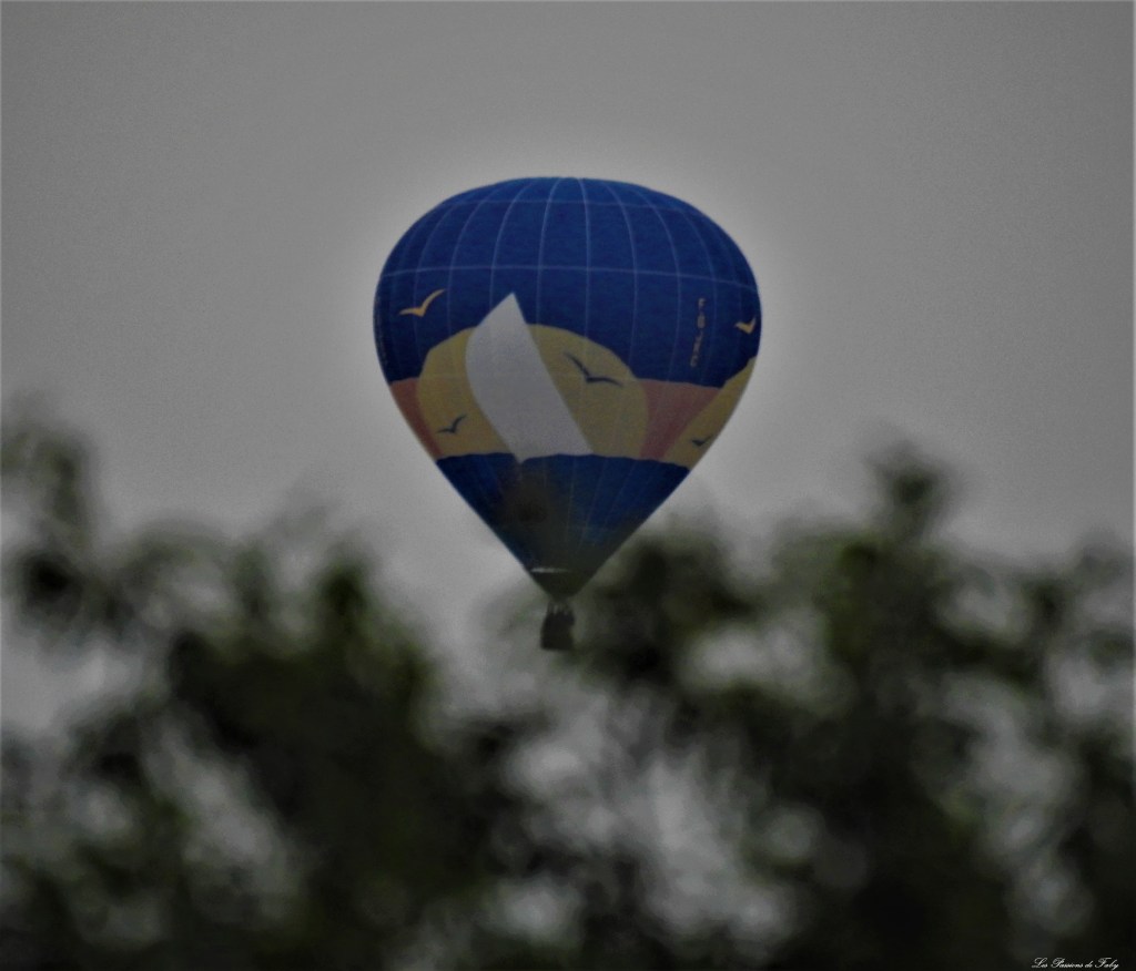 MAB-2019
les-passions-de-faby.com