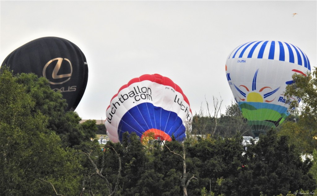 MAB-2019
les-passions-de-faby.com