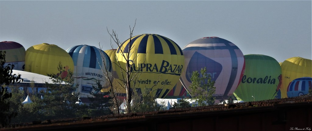 Mondial Air Ballons 
29/07/2019
les-passions-de-faby.com