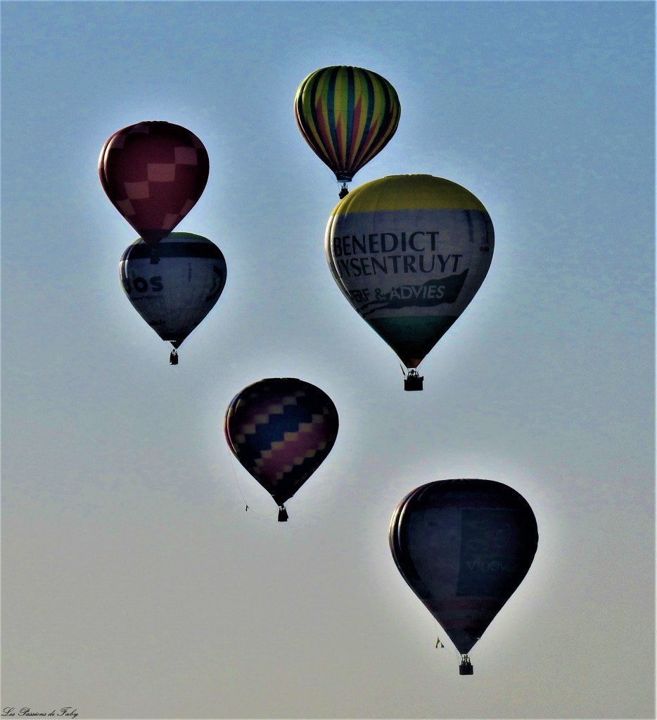 Mondial Air Ballons 
29/07/2019
les-passions-de-faby.com