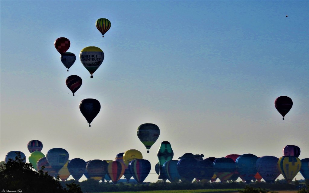 Mondial Air Ballons 
29/07/2019
les-passions-de-faby.com