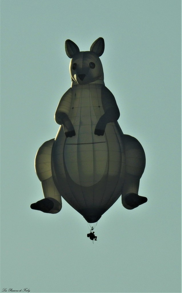 Mondial Air Ballons 
29/07/2019
les-passions-de-faby.com