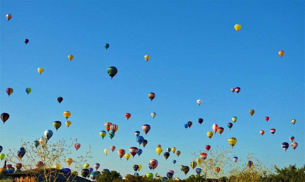 Mondial Air Ballons 
29/07/2019
les-passions-de-faby.com